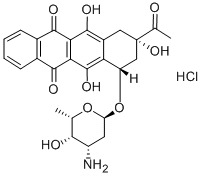 Idarubicina cloridrato