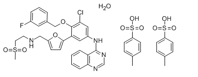 Lapatinib ditosilato monoidrato